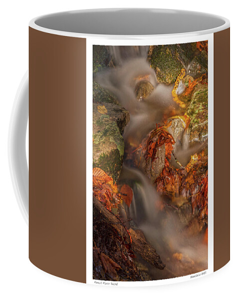 Golden Hour Coffee Mug featuring the photograph Forest Floor Secret The Signature Series by Angelo Marcialis