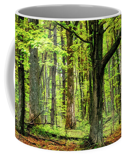 Mountains Coffee Mug featuring the photograph Forest Floor Spring Trees fx 503 by Dan Carmichael