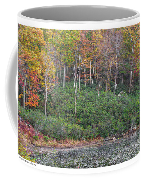 Blue Hour Coffee Mug featuring the photograph Forest In Blue Modulation The Signature Series by Angelo Marcialis