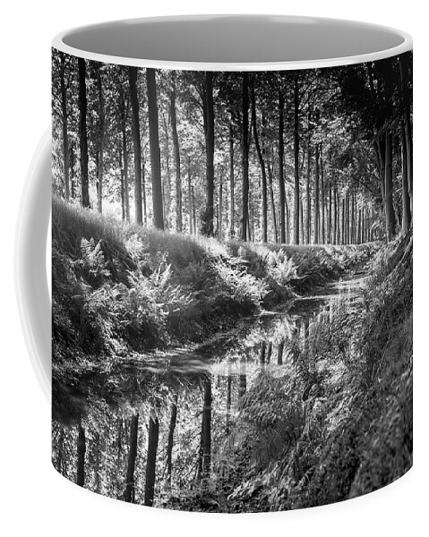 Black&white Coffee Mug featuring the photograph Forest by MPhotographer