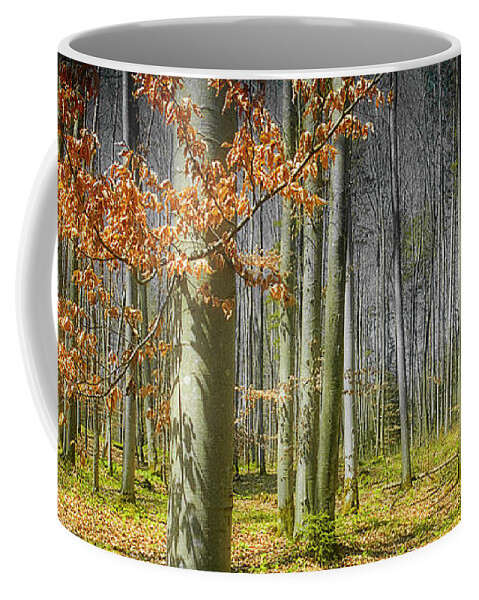 Nag006095a Coffee Mug featuring the photograph Forest Mystery by Edmund Nagele FRPS
