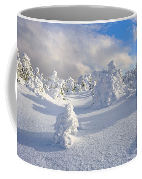 New Hampshire Coffee Mug featuring the photograph Rime and Shadow. by Jeff Sinon