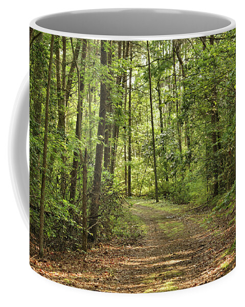 Woods Coffee Mug featuring the photograph Forest Walk by Buddy Scott