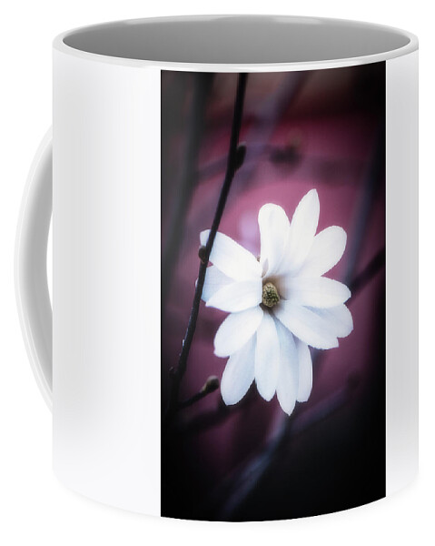 Flowers Coffee Mug featuring the photograph Forever at Last by Philippe Sainte-Laudy