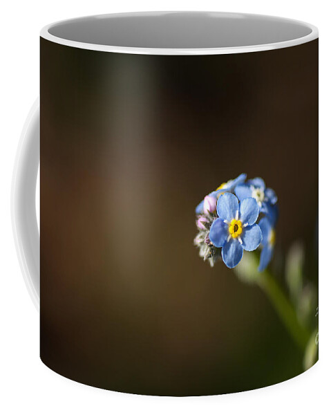 Forget Me Not Cluster Coffee Mug featuring the photograph Forget Me Not Cluster by Joy Watson