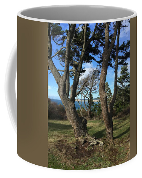Seascape Coffee Mug featuring the photograph Fort Casey Park by Jerry Abbott