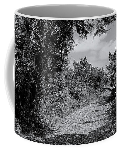 Fort Coffee Mug featuring the photograph Fort Macon Trail BW by Lee Darnell