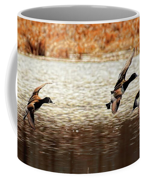 Waterfowl Coffee Mug featuring the photograph Four Ringers With Wings Set by Dale Kauzlaric