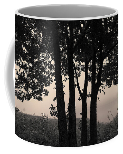 Abstract Coffee Mug featuring the photograph Four Trees Toned by David Gordon