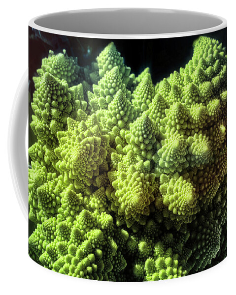 Romanesco Coffee Mug featuring the photograph Fractal Cauliflower by Micah Offman