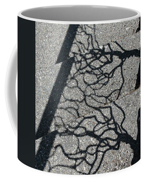 Photograph Coffee Mug featuring the photograph Fractured by Richard Wetterauer