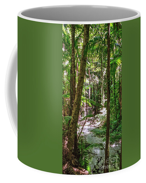 Rain Forest Coffee Mug featuring the photograph Fraser Island Rain Forest by Frank Lee