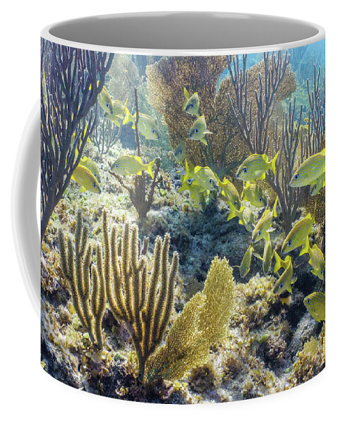 Animals Coffee Mug featuring the photograph French Class by Lynne Browne