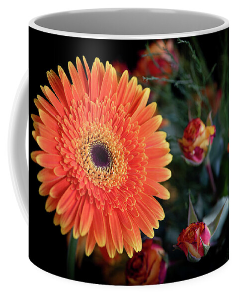 Daisies Coffee Mug featuring the photograph Fresh beautiful orange daisy flower blossom. Blooming flower by Michalakis Ppalis