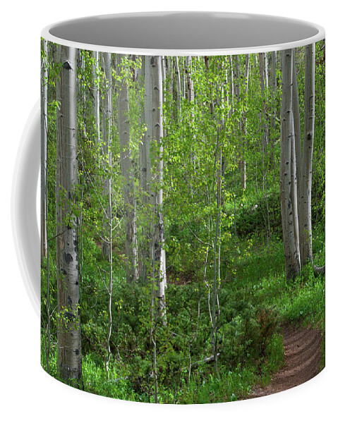 Forest Coffee Mug featuring the photograph Fresh Spring Aspen Forest by Cascade Colors