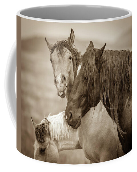 Wild Horses Coffee Mug featuring the photograph Friday Face by Mary Hone