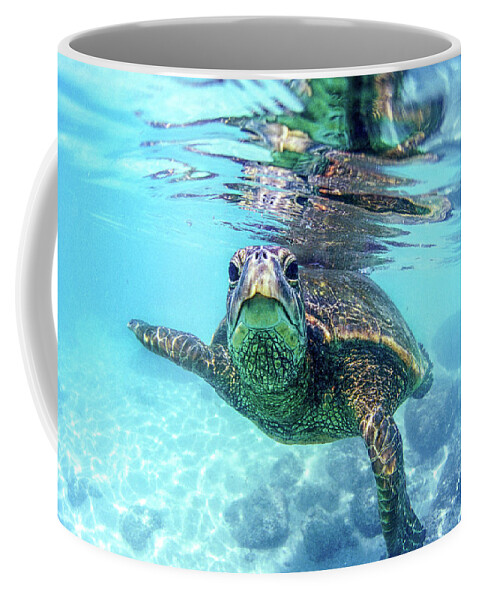 Sea Coffee Mug featuring the photograph friendly Hawaiian sea turtle by Sean Davey
