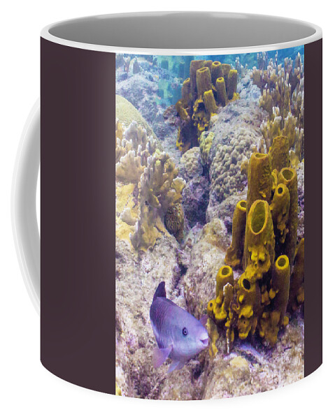 Ocean Coffee Mug featuring the photograph Friendly Queen by Lynne Browne