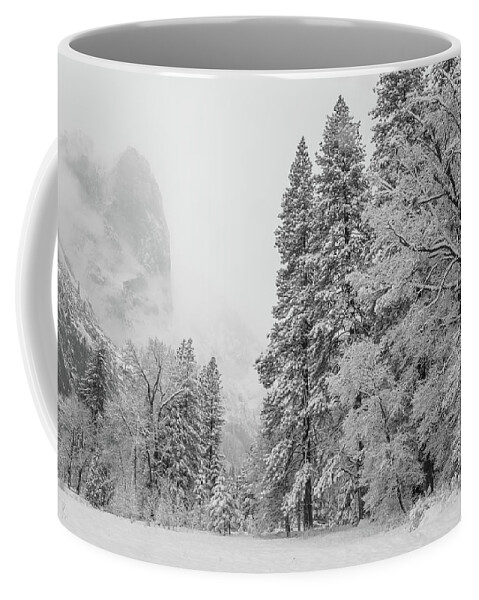 Landscape Coffee Mug featuring the photograph Frigid by Jonathan Nguyen