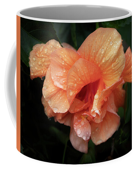 Flower Coffee Mug featuring the photograph Frills by M Kathleen Warren