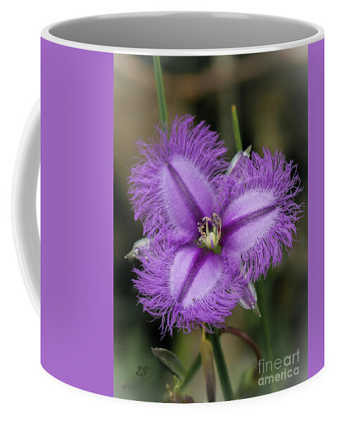 Fringe Lily Coffee Mug featuring the photograph Fringe Lily - Thysanotus tuberosus by Elaine Teague