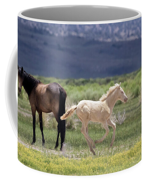 Eastern Sierra Coffee Mug featuring the photograph Frisky Foal by Cheryl Strahl