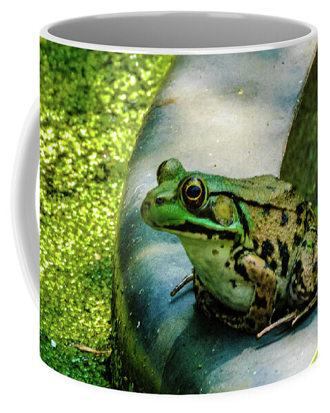 Animals Coffee Mug featuring the photograph Frog Hollow by Louis Dallara