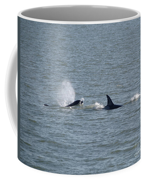 Orcas Coffee Mug featuring the photograph Frolicking whales by Jeff Swan