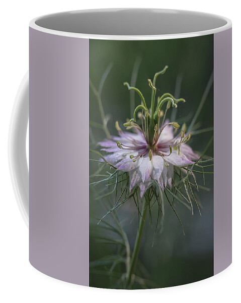 Maryland Coffee Mug featuring the photograph From The Garden 3 by Robert Fawcett