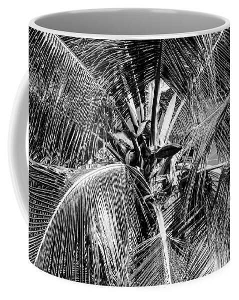 Hawaii Coffee Mug featuring the photograph Fronds and Center BW by Christi Kraft