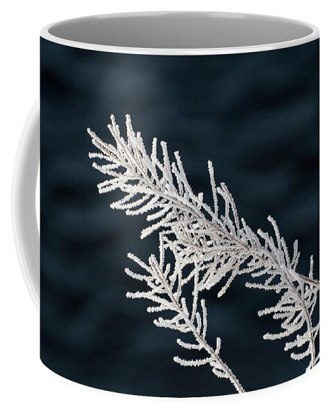 Frost Coffee Mug featuring the photograph Frost Covered Grasses by Linda Villers