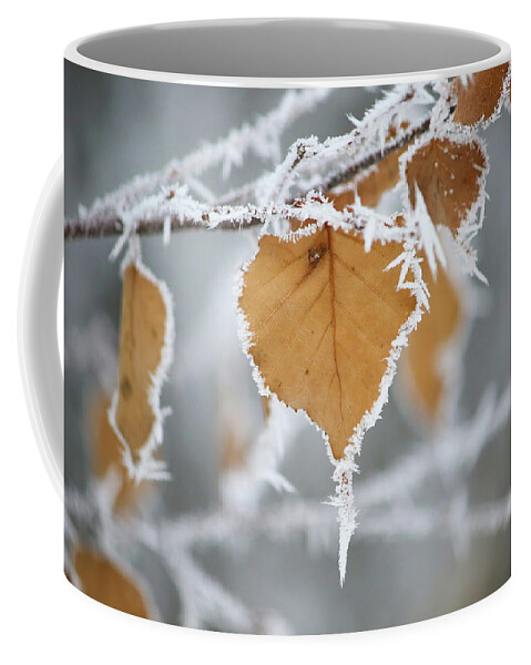 Frosty Birch Leaf Coffee Mug featuring the photograph Frosty Birch Leaf by Brook Burling