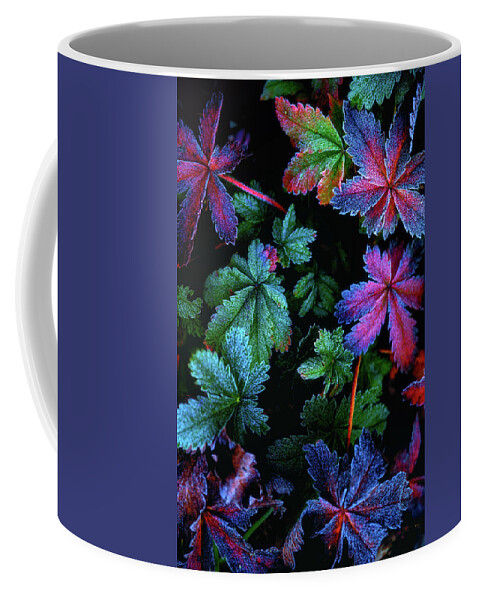 Frost Coffee Mug featuring the photograph Frosty Fall by Darren White