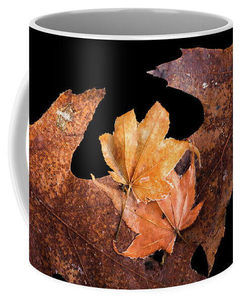 Leaves Coffee Mug featuring the photograph Frosty Leaves Together by Gary Slawsky