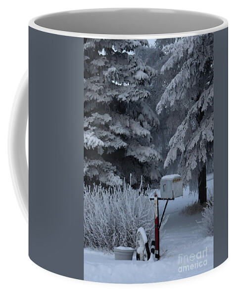 Mailbox Coffee Mug featuring the photograph Frosty mailbox by Lisa Mutch