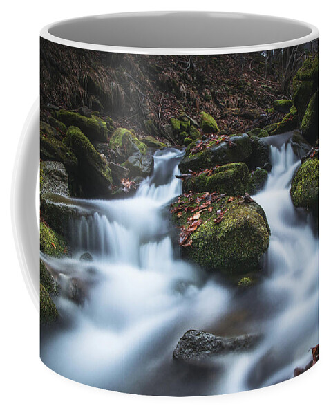 Splash Coffee Mug featuring the photograph Frosty waterfall Tosanovsky in autumn colours by Vaclav Sonnek