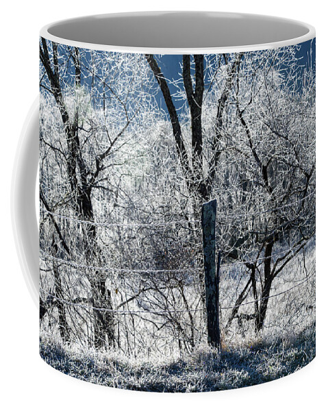 Cades Cove Coffee Mug featuring the photograph Frozen Fence by Phil Perkins