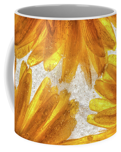 Flower Coffee Mug featuring the photograph Frozen Gold by Elvira Peretsman