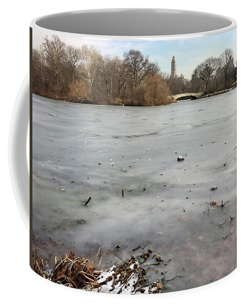  Coffee Mug featuring the photograph Frozen Lake, NYC in December by Judy Frisk