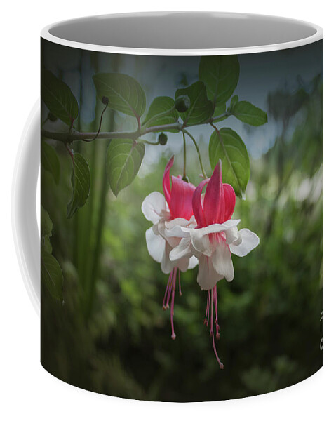 Fuchsia Coffee Mug featuring the photograph Fuchsia by Elaine Teague