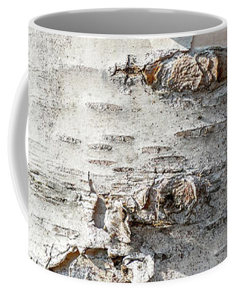 Wood Coffee Mug featuring the photograph Full frame of birch bark tree detailed texture in close-up by Gregory DUBUS