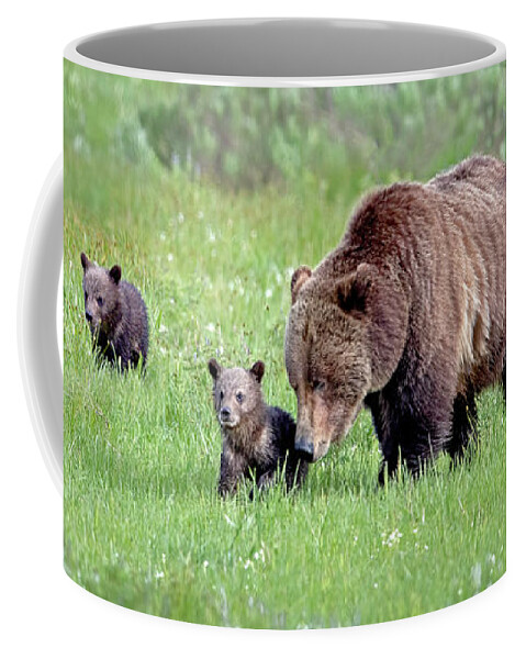 Grizzly Bear Coffee Mug featuring the photograph Full House by Jack Bell