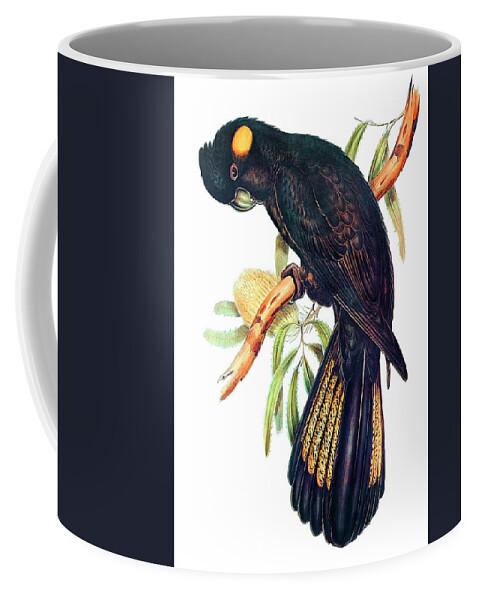 Elizabeth Gould Coffee Mug featuring the drawing Funereal Cockatoo by Elizabeth Gould