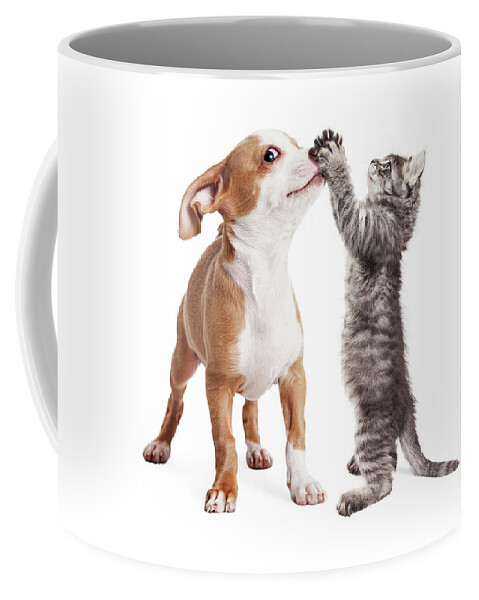 Adorable Coffee Mug featuring the photograph Funny Puppy and Kitten Playing by Good Focused