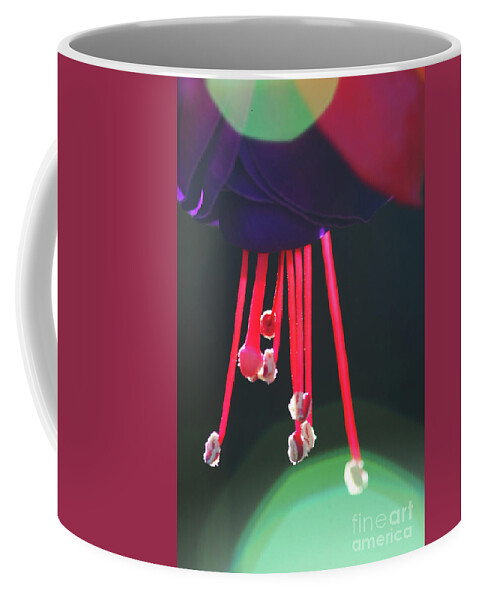 Stephanie Gambini Coffee Mug featuring the photograph Fuchsia #8 by Stephanie Gambini