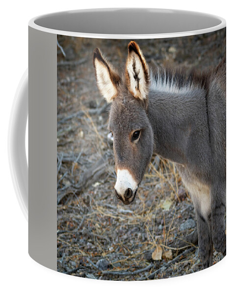 Wild Burros Coffee Mug featuring the photograph Fuzzy Ears by Mary Hone