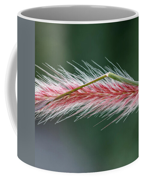 Grass Coffee Mug featuring the photograph Fuzzy Grass by David Beechum