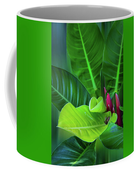 Philodendron Coffee Mug featuring the photograph Garden Botanicals VIII by Debra and Dave Vanderlaan