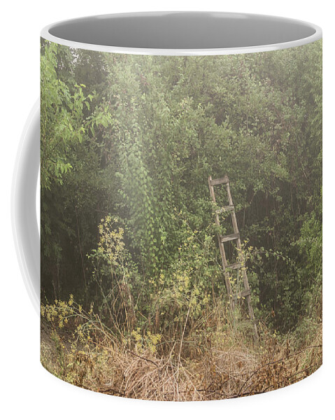 Europe Coffee Mug featuring the photograph Garden by Eleni Kouri