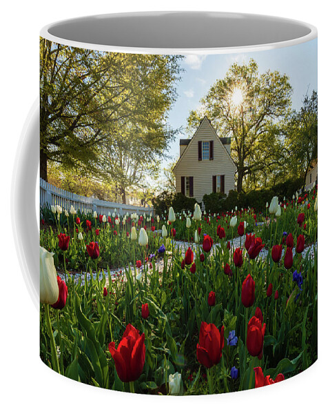 Colonial Williamsburg Coffee Mug featuring the photograph Garden in the Spring by Rachel Morrison